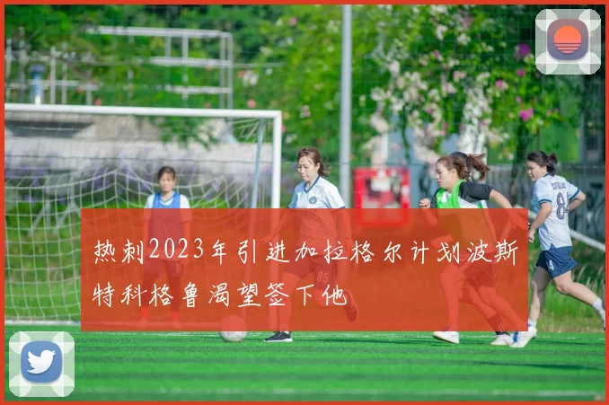 热刺2023年引进加拉格尔计划波斯特科格鲁渴望签下他